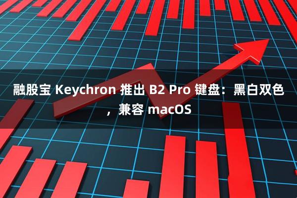 融股宝 Keychron 推出 B2 Pro 键盘：黑白双色，兼容 macOS