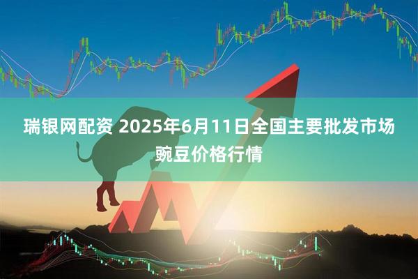 瑞银网配资 2025年6月11日全国主要批发市场豌豆价格行情