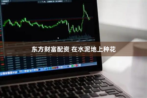 东方财富配资 在水泥地上种花
