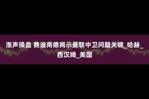 涨声操盘 费迪南德揭示曼联中卫问题关键_哈赫_西汉姆_美国